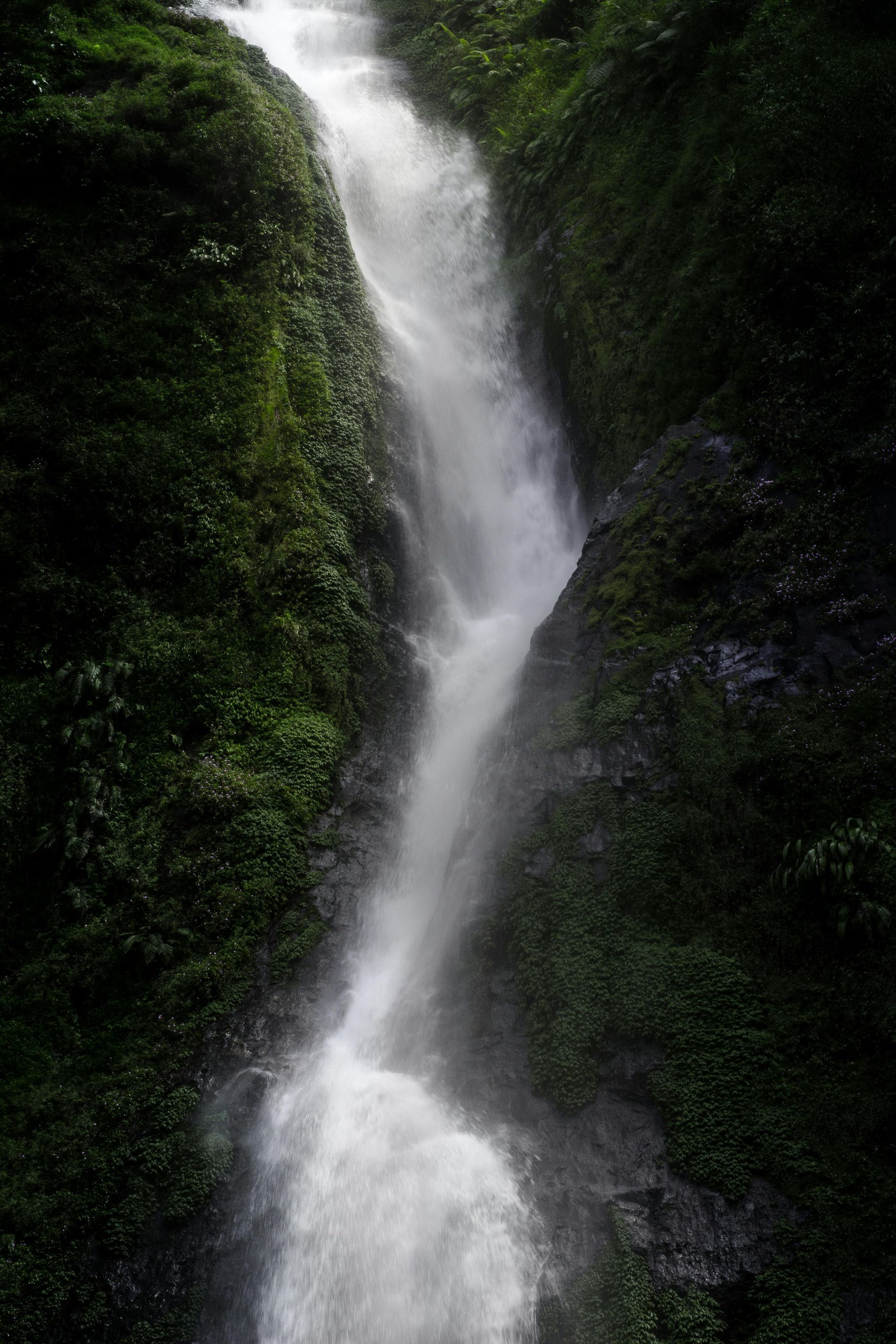 Waterfall cascading down a mossy cliff face, water blurred white. Dark green vegetation surrounds.