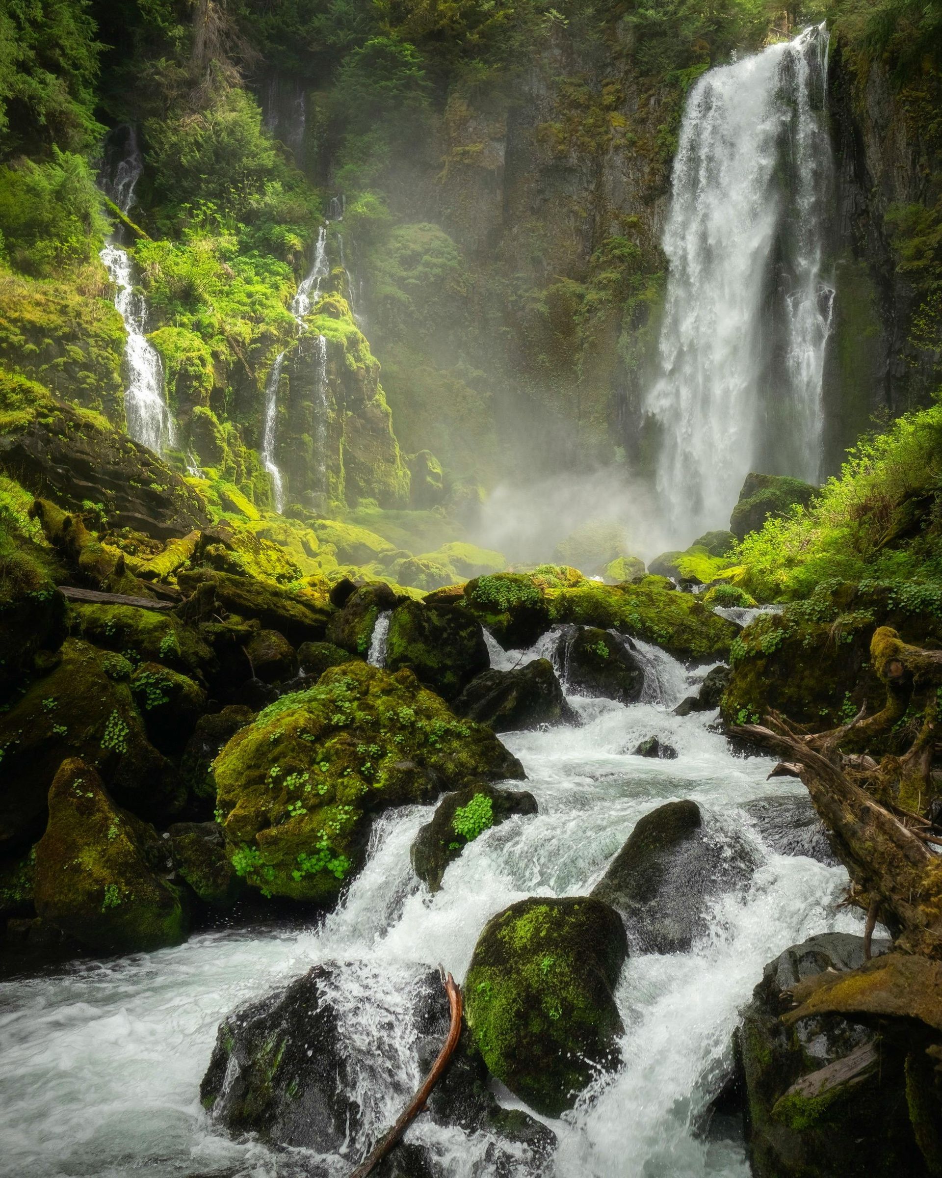 Waterfall cascading over mossy rocks in a lush, green forest.