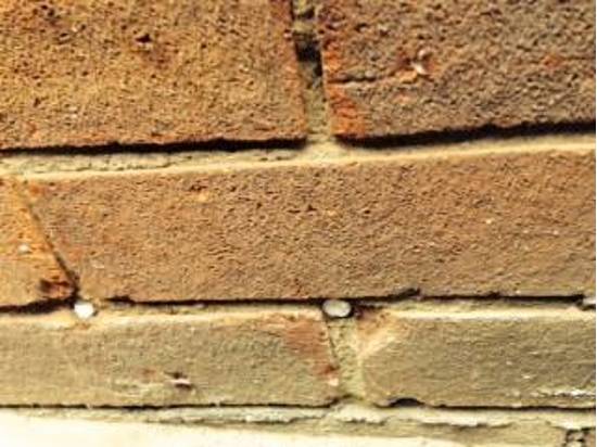 close of of brickwork during damp proofing