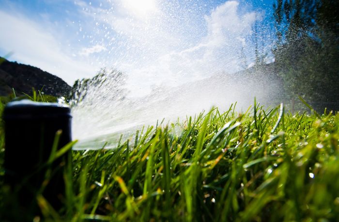 A sprinkler is spraying water on a lush green lawn.