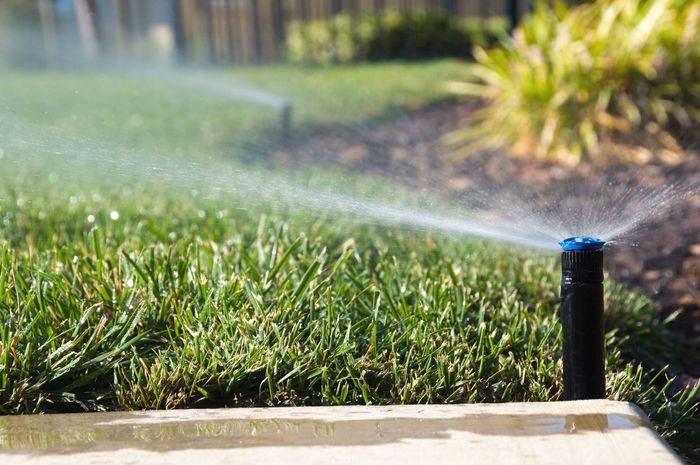 A sprinkler is spraying water on a lush green lawn.