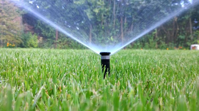 A sprinkler is spraying water on a lush green lawn.