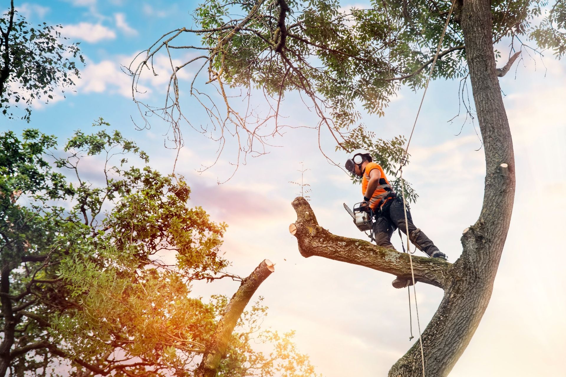A man is cutting a tree branch with a chainsaw.