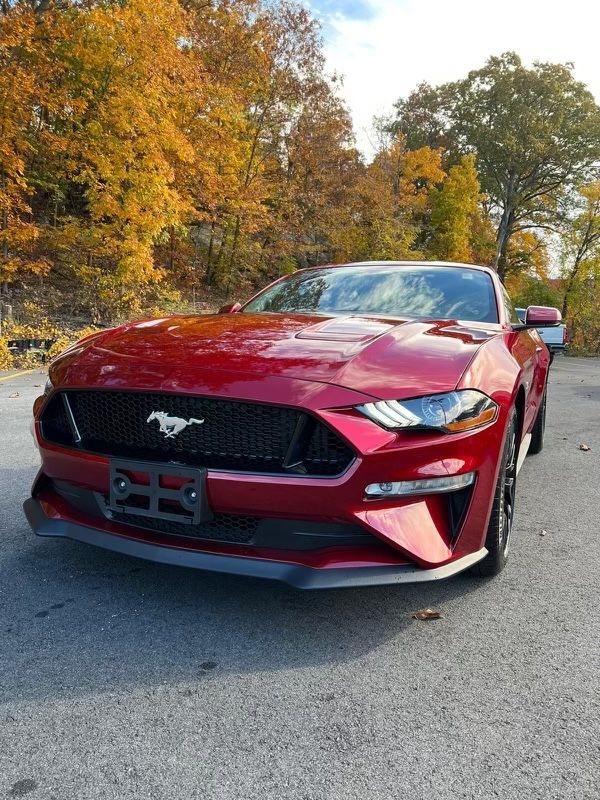 A red ford mustang is parked in a parking lot with trees in the background.