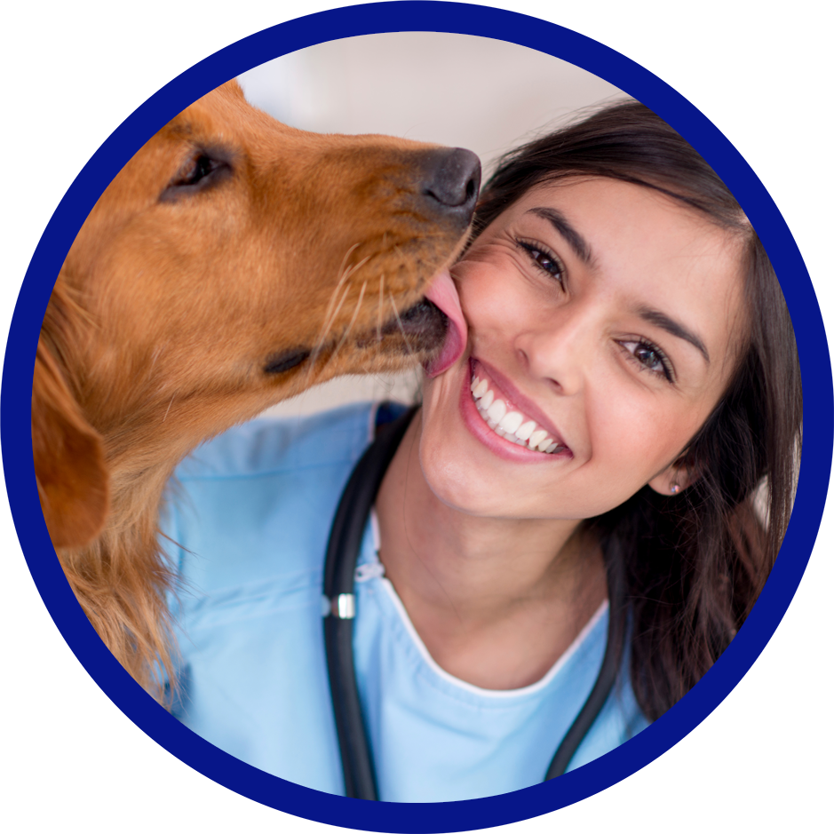Our Veterinarians Richmond Veterinary Clinic