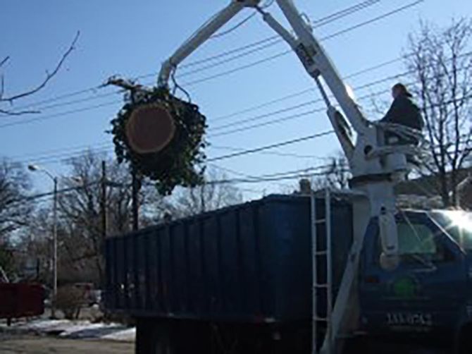 Lexington Tree Services Lexington KY Loading Debris