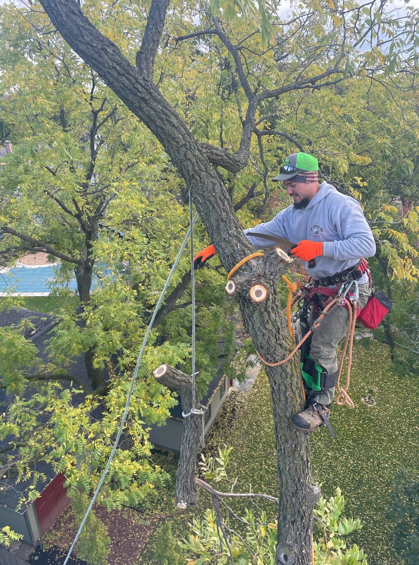 A man is cutting a tree branch with a saw.