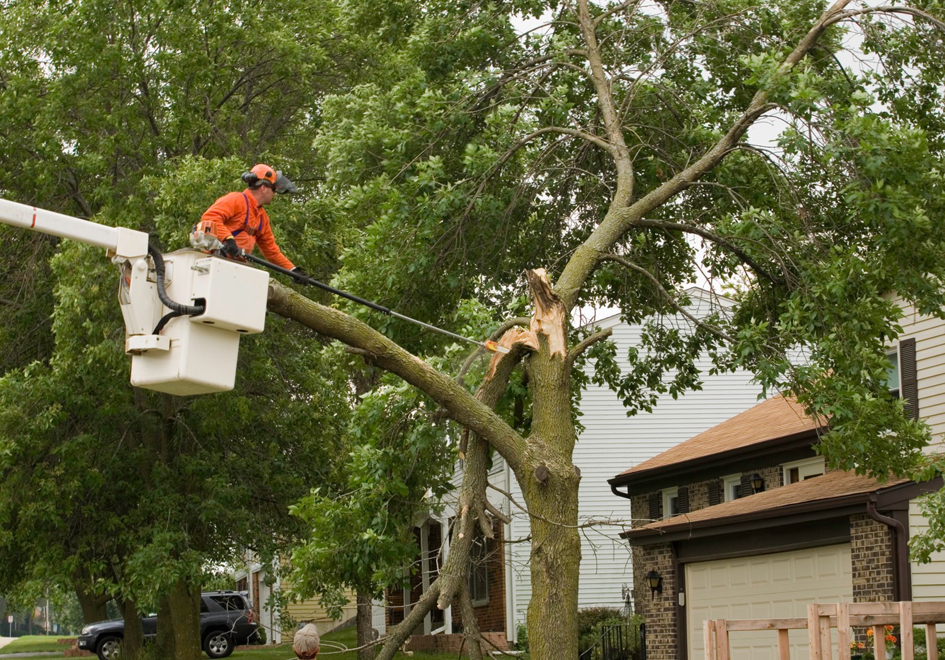 A man trimming a tree in a neighborhood for safety as part of emergency tree services.
