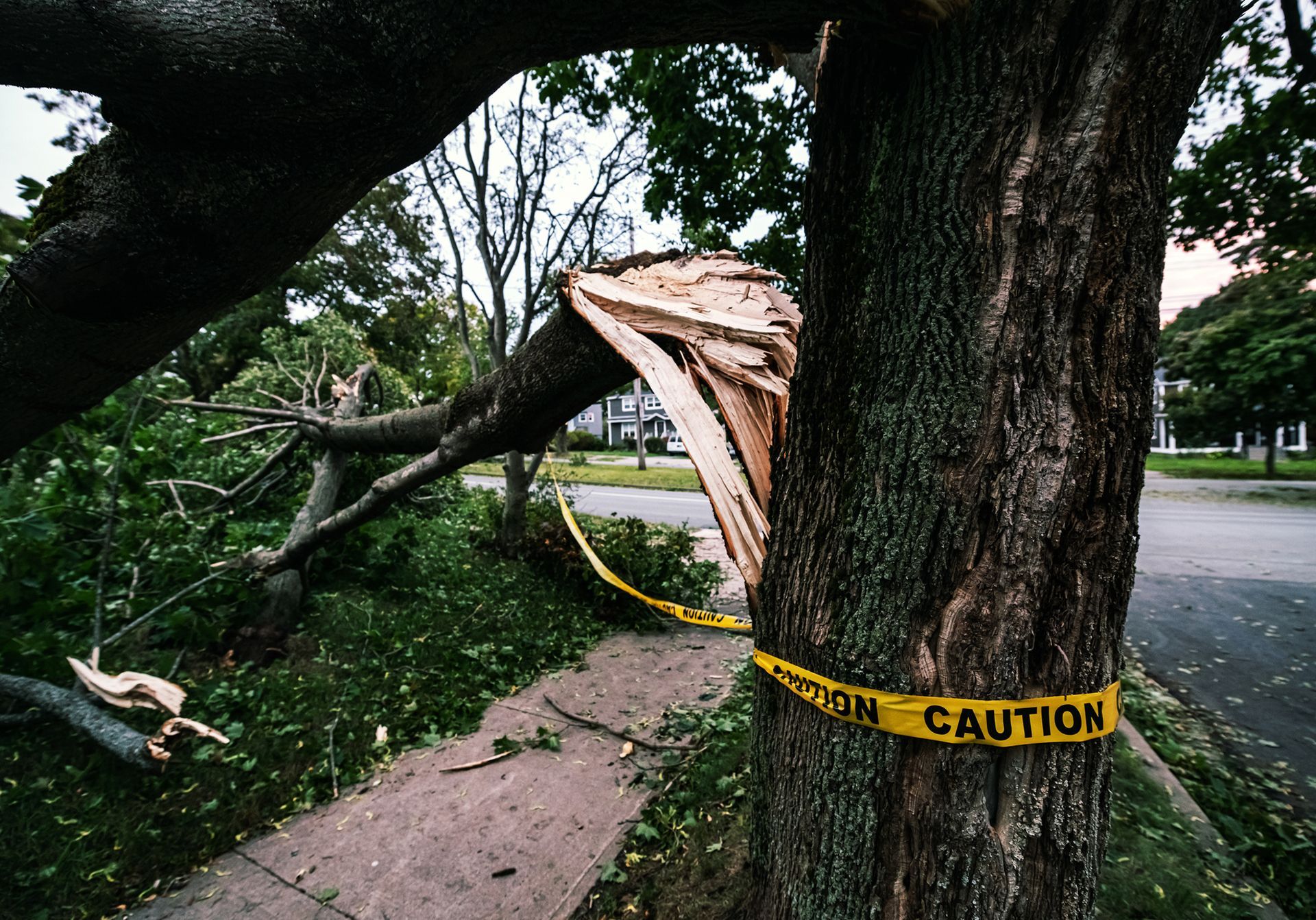 A tree wrapped in caution tape near a house, marked as a hazard needing emergency tree services. A tree wrapped in caution tape near a house, marked as a hazard needing emergency tree services.