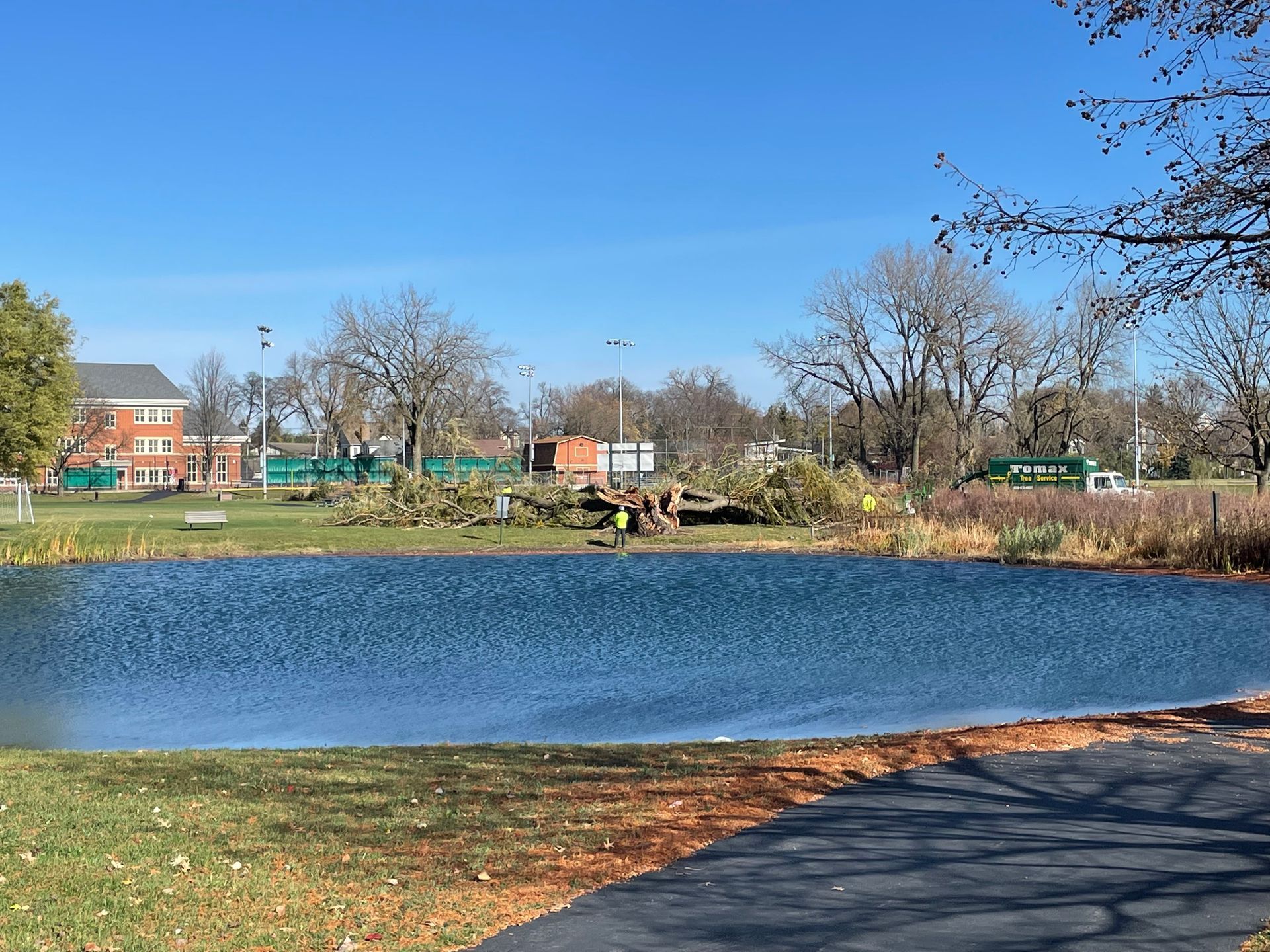 A large body of water in a park on a sunny day