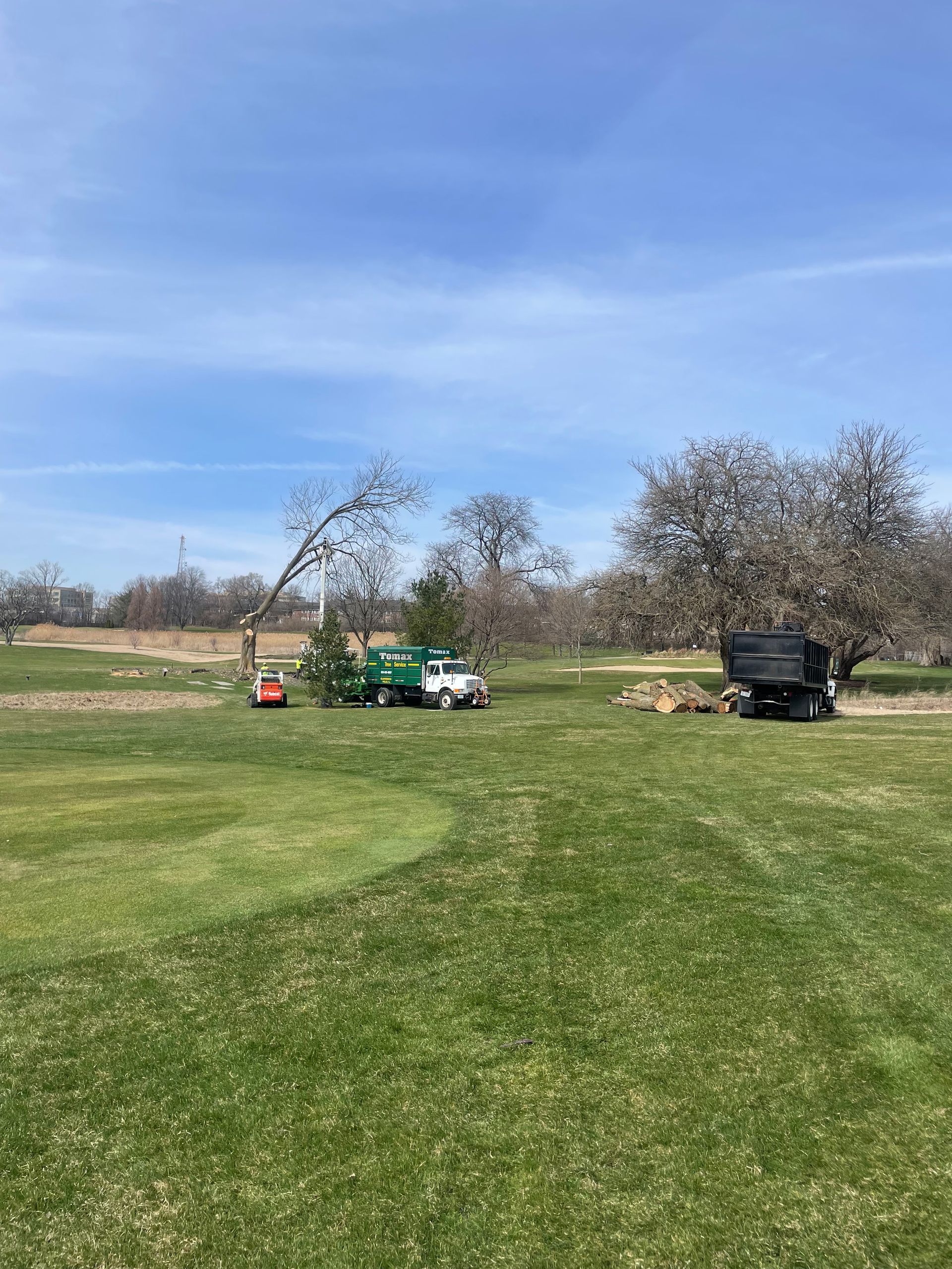 A Green Truck is Parked in a Grassy Field next to a Tree | Westmont, IL | Tomax Tree