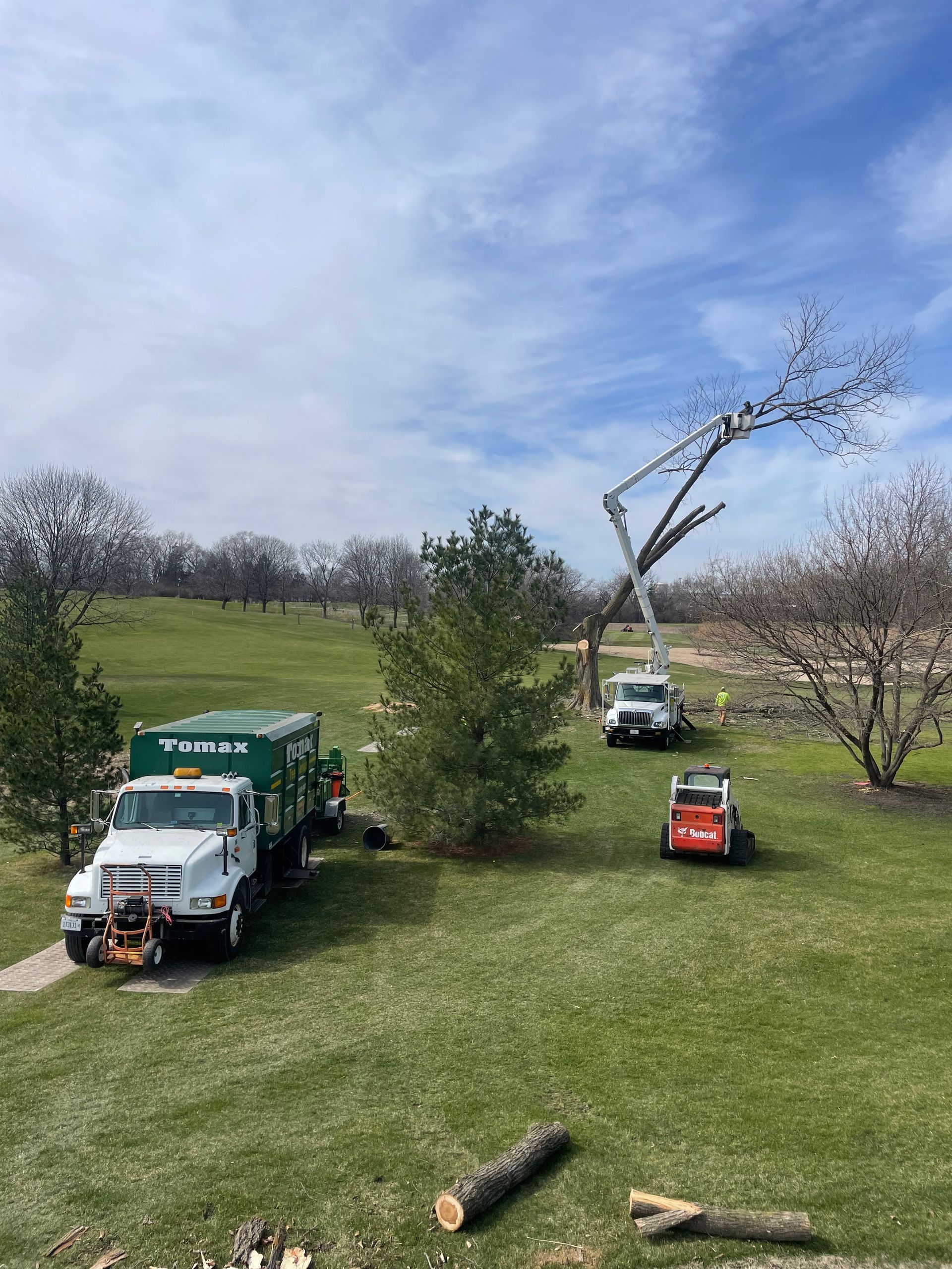 A Group of Trucks are Parked in a Grassy Field | Westmont, IL | Tomax Tree