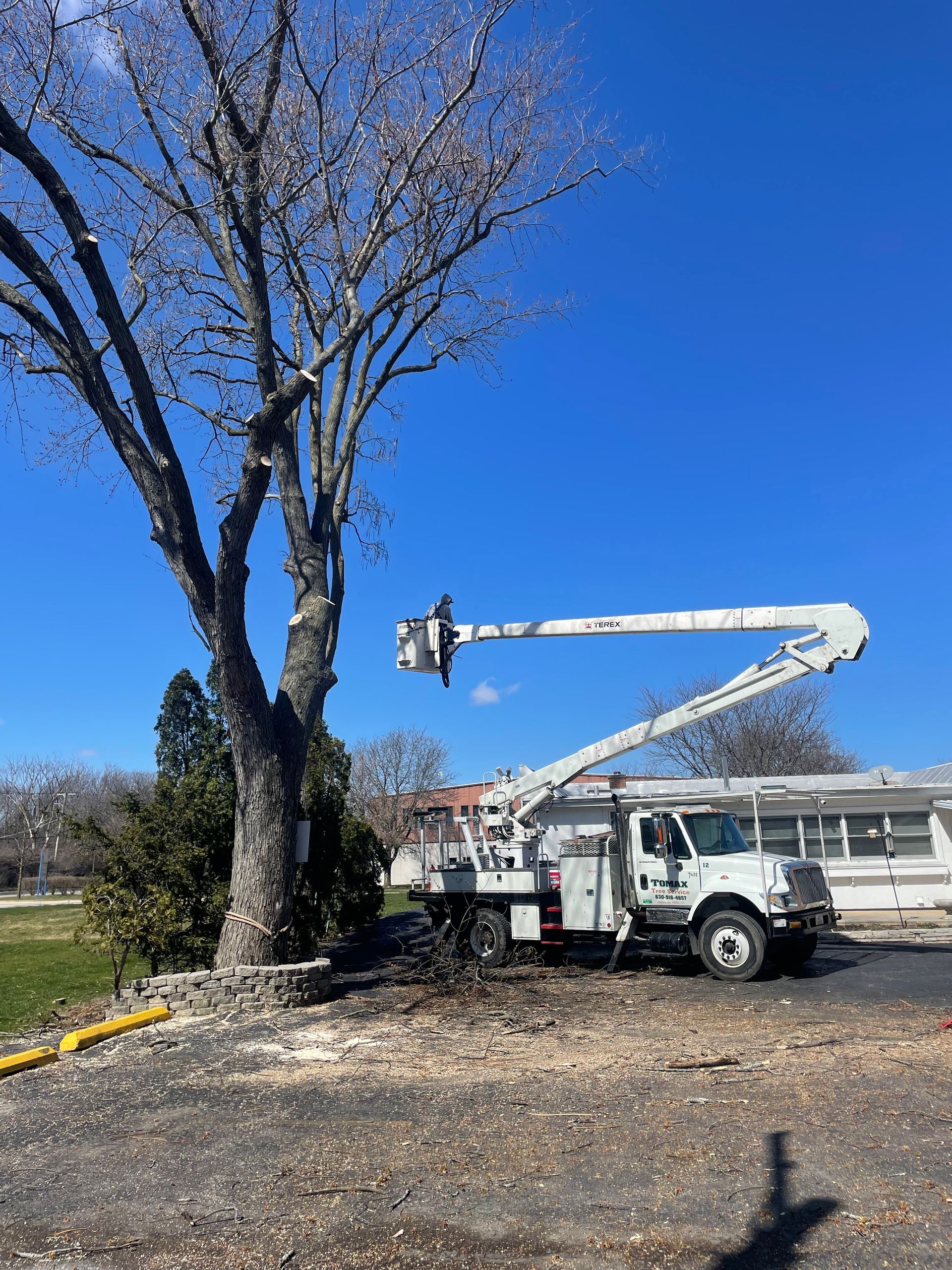 A White Truck with a Crane Attached to it is Cutting a Tree | Westmont, IL | Tomax Tree