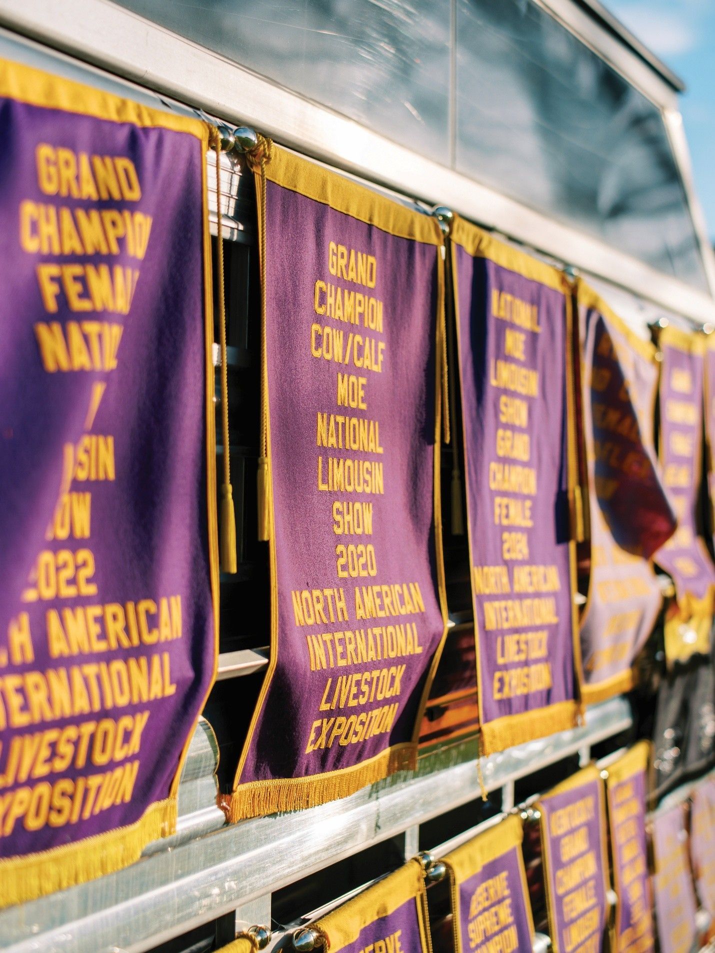 Purple banners with gold lettering and trim, hanging at an agricultural livestock show.