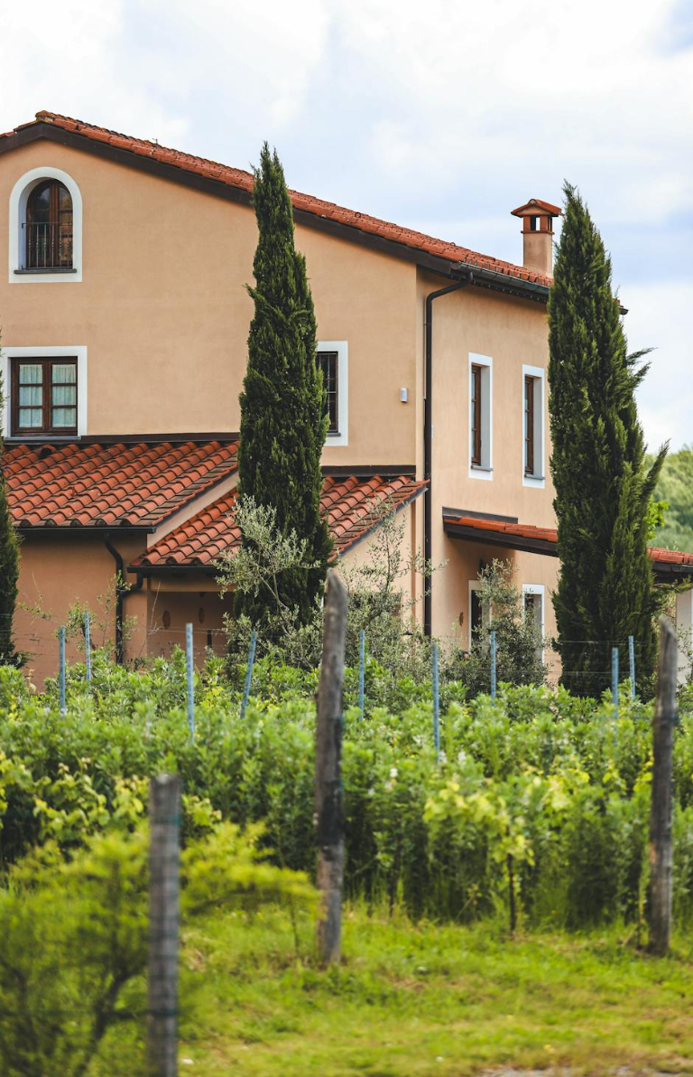 A large house with a red tile roof is surrounded by a vineyard.