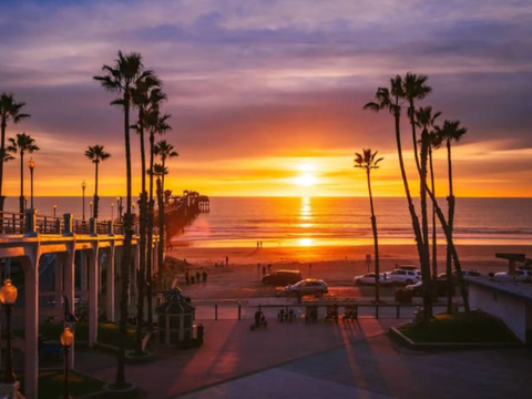 The sun is setting over the ocean with palm trees in the foreground.