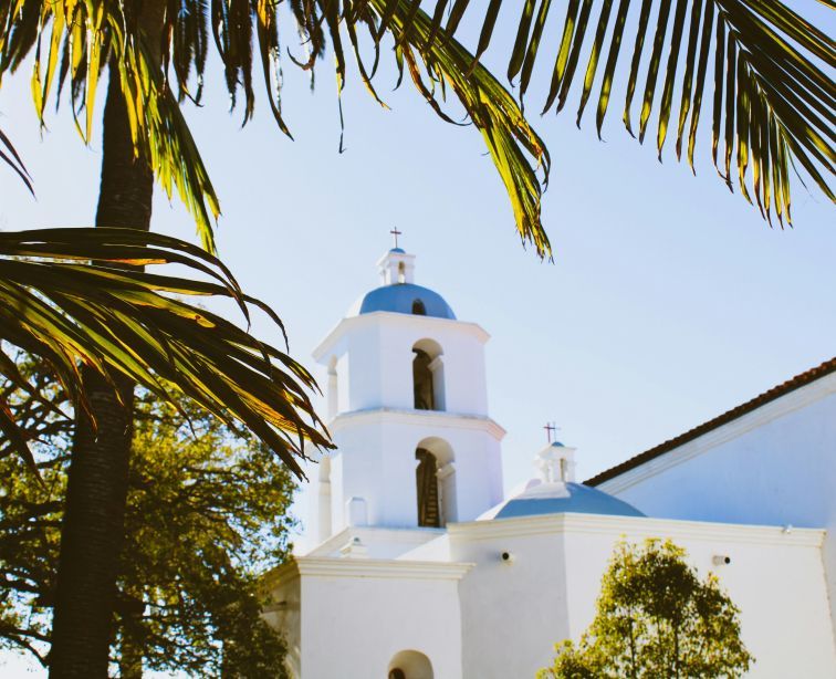 A white building with a palm tree in front of it