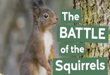 Scotland is home to the majority of Britain's surviving native red squirrel population. But will the battle to save them from invasive grey squirrels halt their decline and reverse their fortunes?