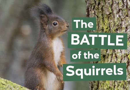 Scotland is home to the majority of Britain's surviving native red squirrel population. But will the battle to save them from invasive grey squirrels halt their decline and reverse their fortunes?