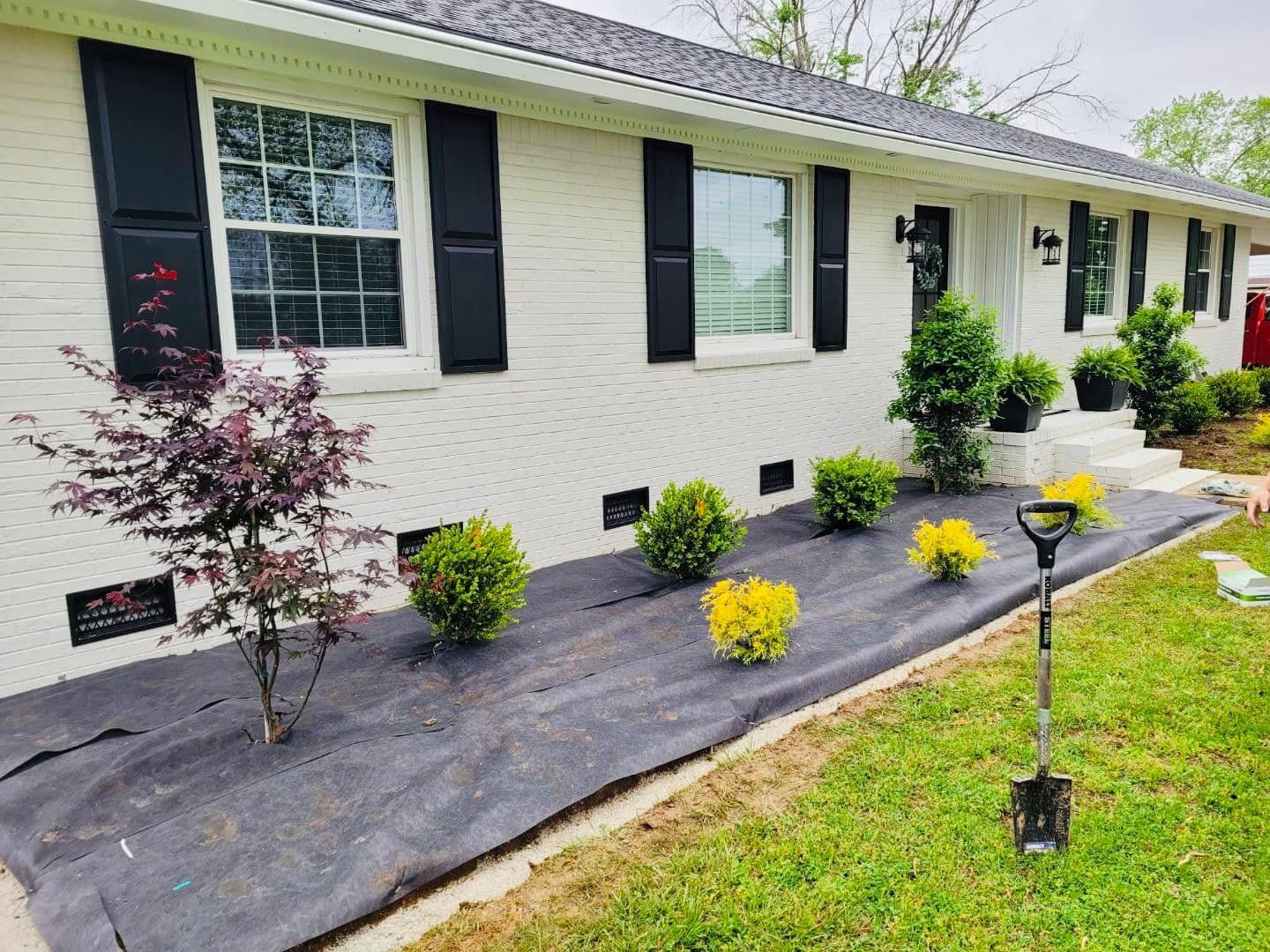 White brick house with black shutters and new landscaping; shovel in the yard.