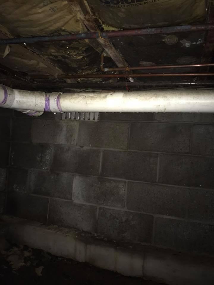 superior gallery image