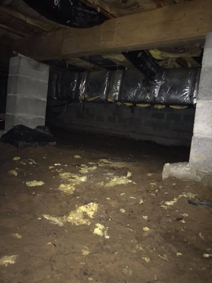 superior gallery image