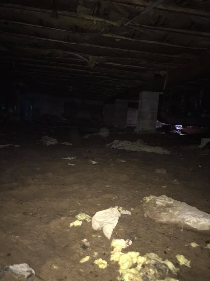 superior gallery image