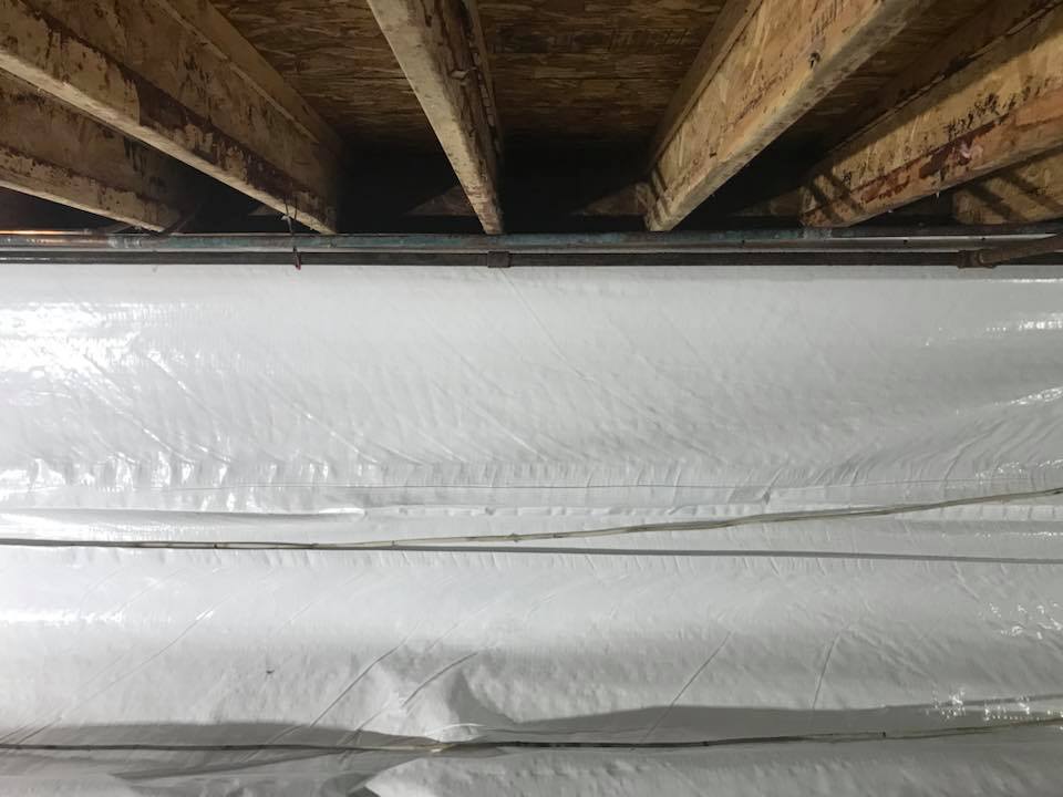 superior gallery image