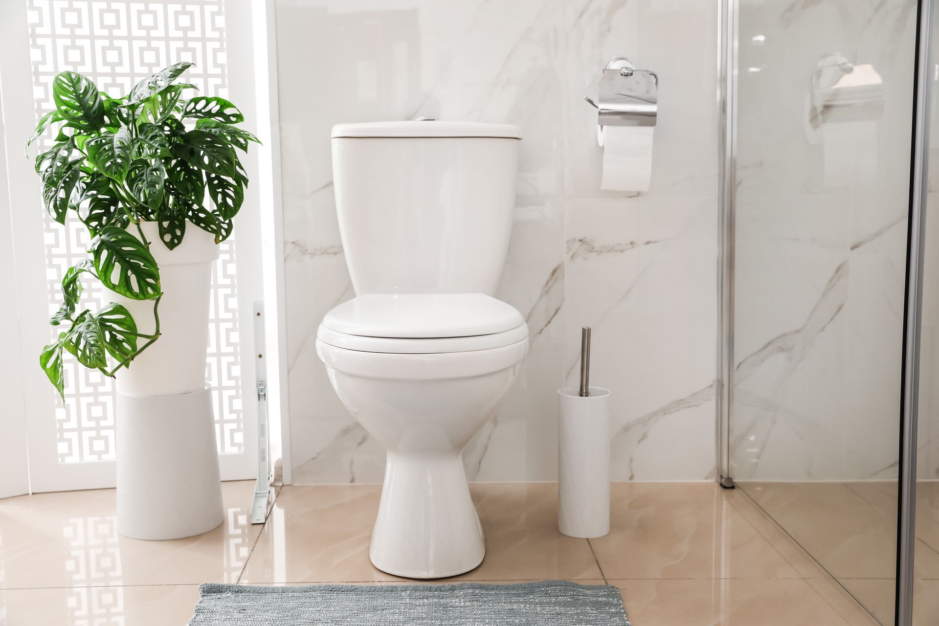 Five Things to Consider When Buying a New Toilet