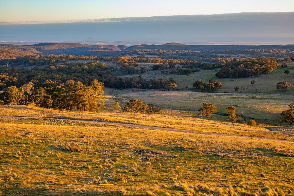 A View of A Grassy Hillside with Trees and A Body of Water in The Distance — Every Occasion Catering in Currabubula, NSW