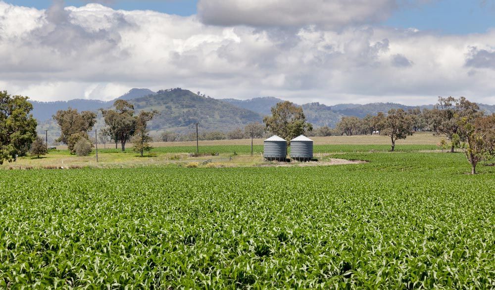 Two Silos Are in The Middle of A Green Field with Mountains in The Background — Every Occasion Catering in Quirindi, NSW