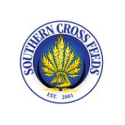 southern cross logo