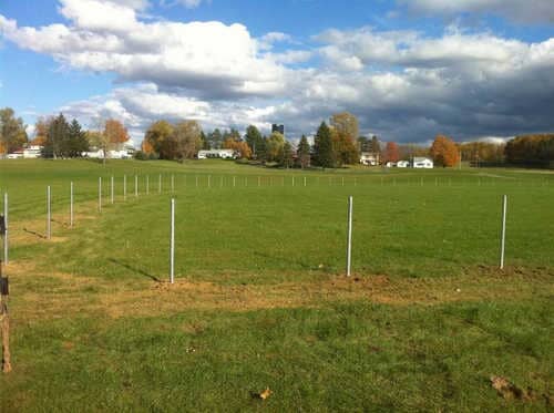 Chain Link Fencing Enclosure in Orchard Park, NY