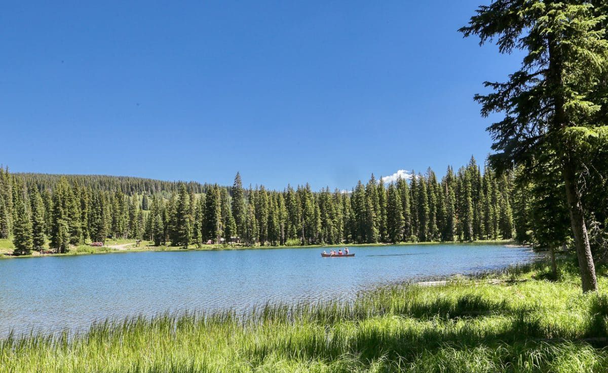 A lake surrounded by trees and grass with a mountain in the background.