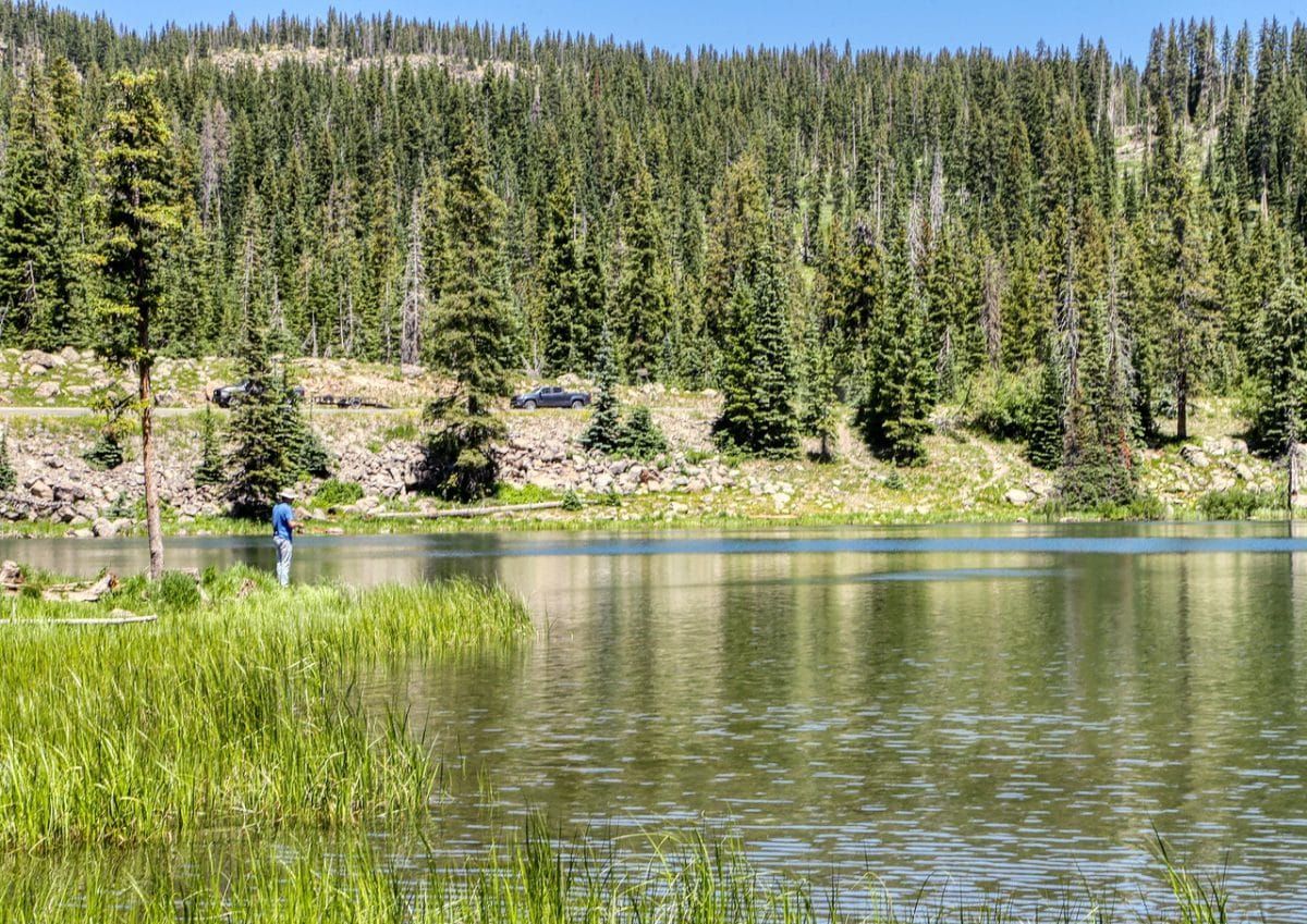 A man is fishing in a lake surrounded by trees.