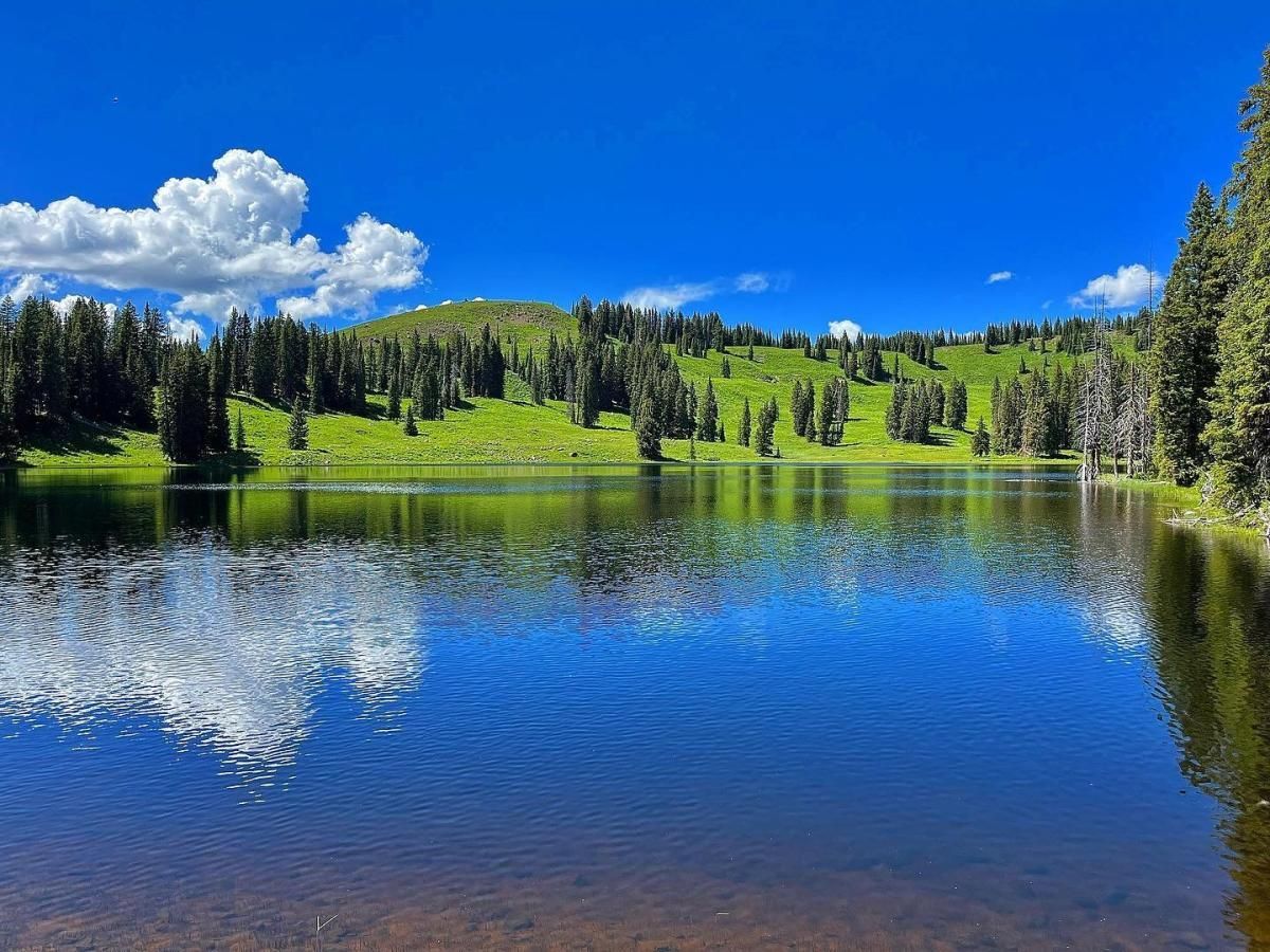 A lake surrounded by trees and grass on a sunny day