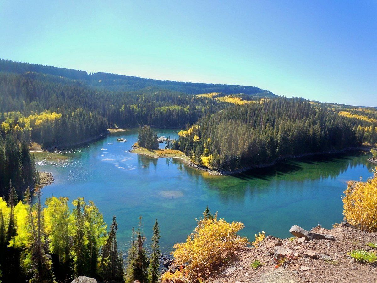 A view of a lake surrounded by trees on a sunny day.