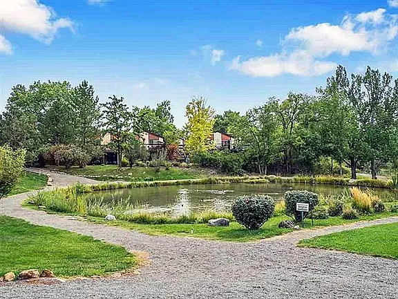 A large body of water with trees in the background