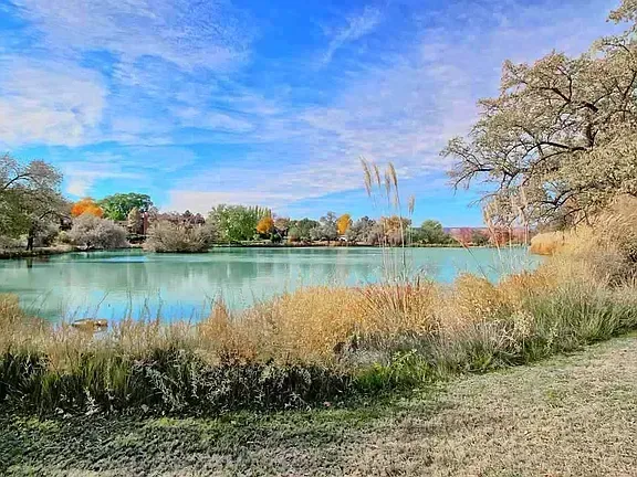 A large body of water surrounded by trees on a cloudy day.