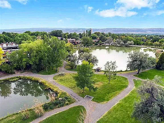 A large body of water surrounded by trees on a cloudy day