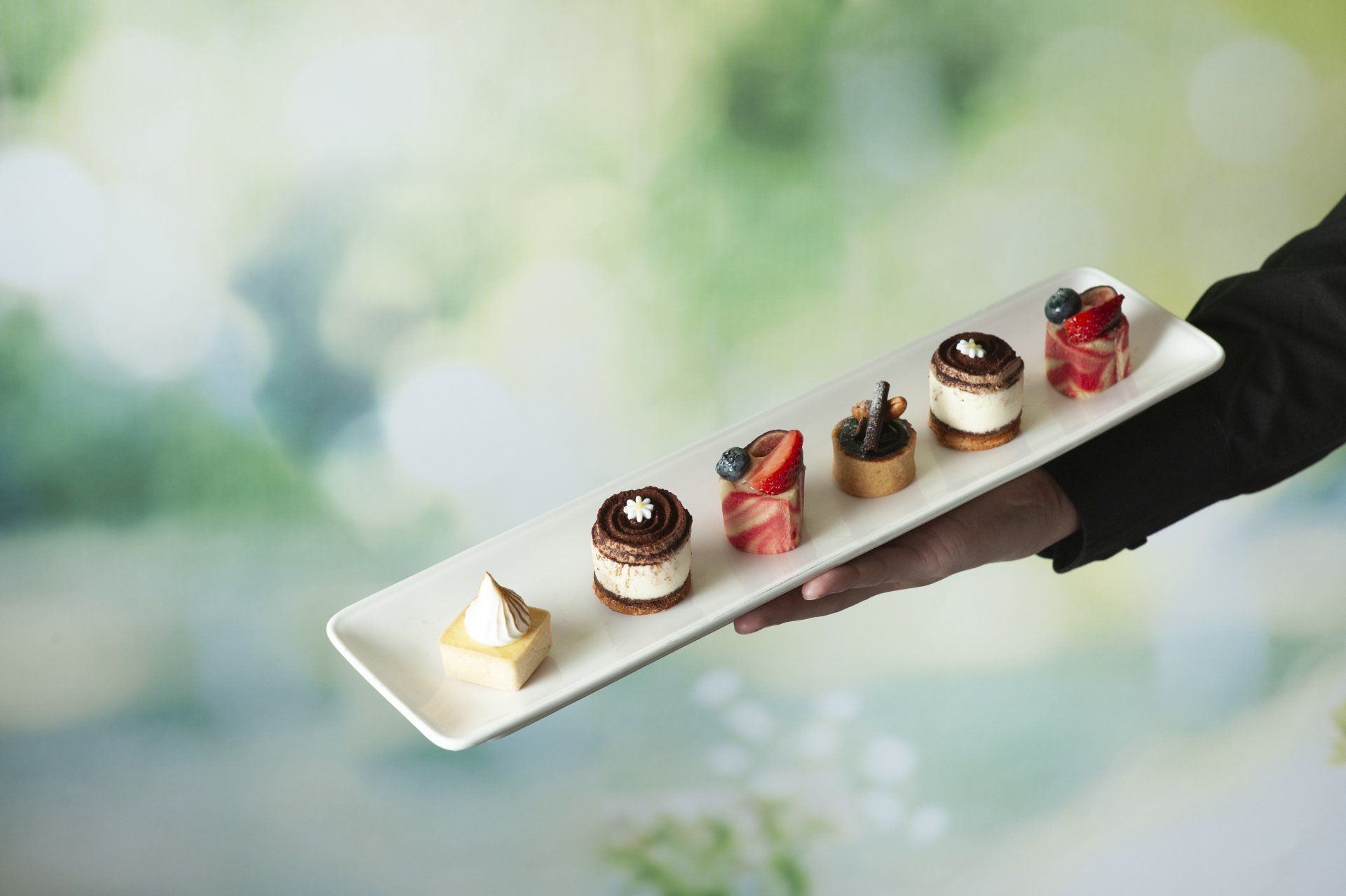 Hand holding a white rectangular plate with six small pastries against a green, blurry background.