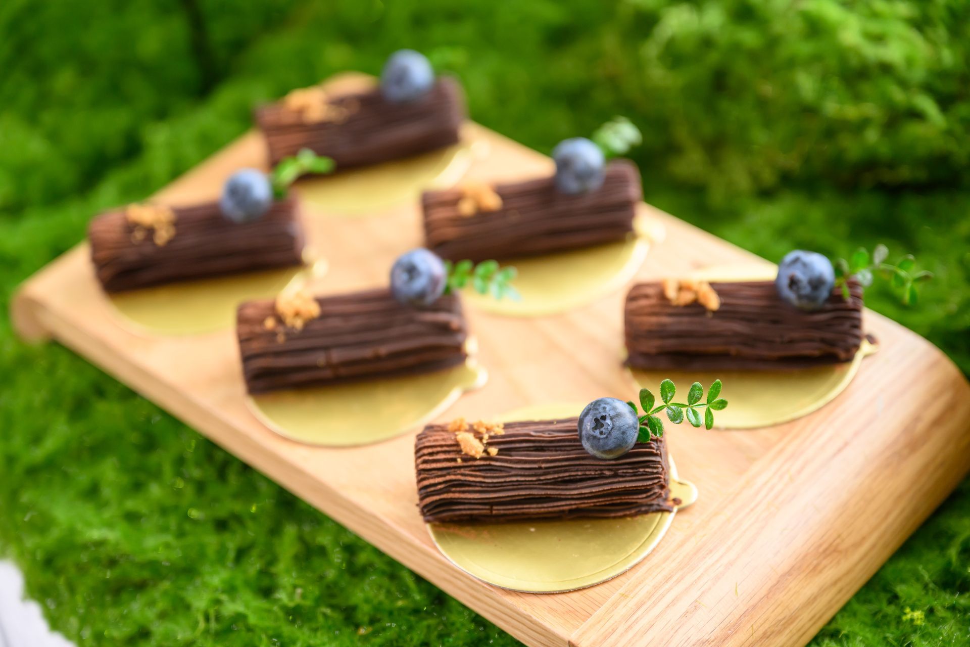 Chocolate log cakes with blueberries and garnish on a wooden board atop green moss.