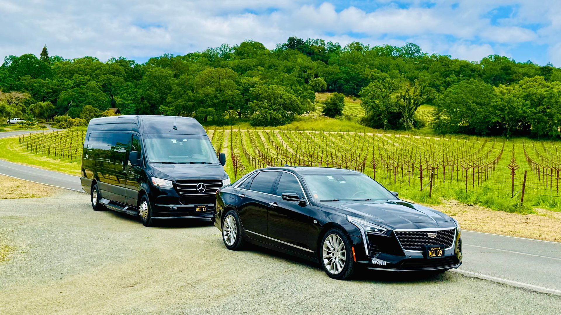Black van and car parked on a road beside a vineyard, trees in the background, sunny day.
