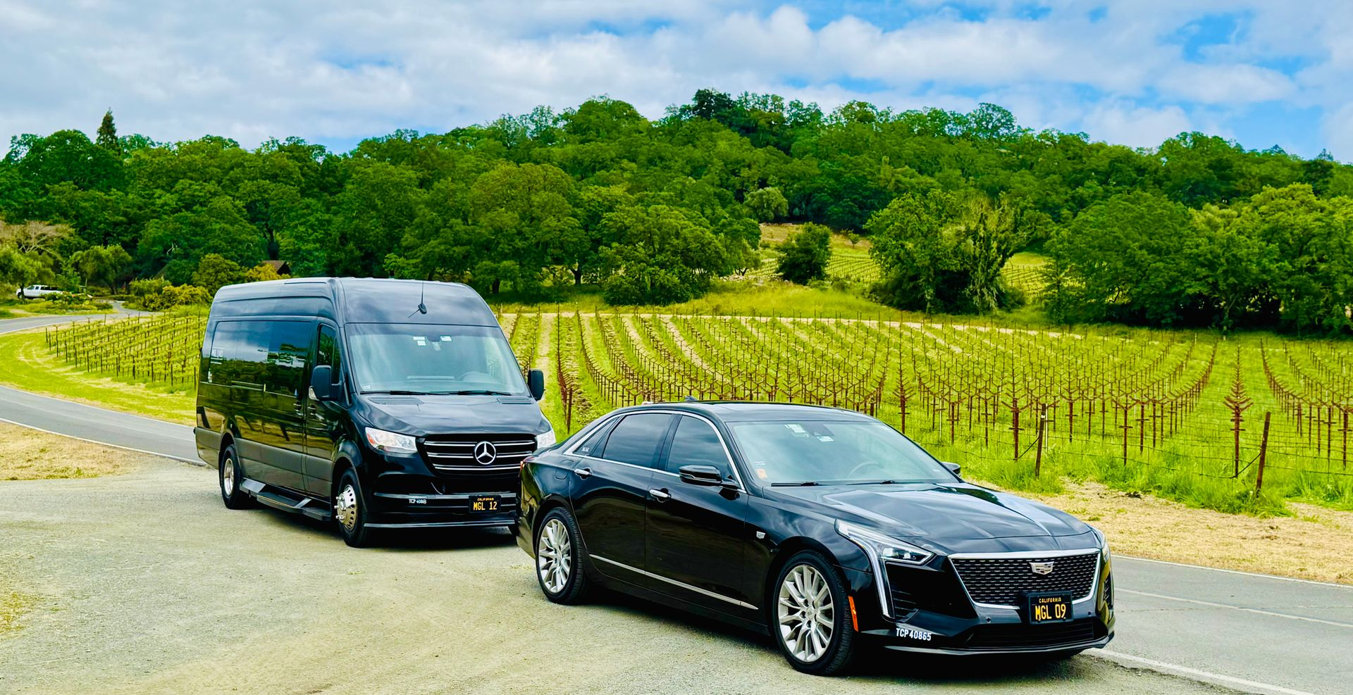 MGL Limo Napa Valley wine tour transportation with sedan and Sprinter near vineyards