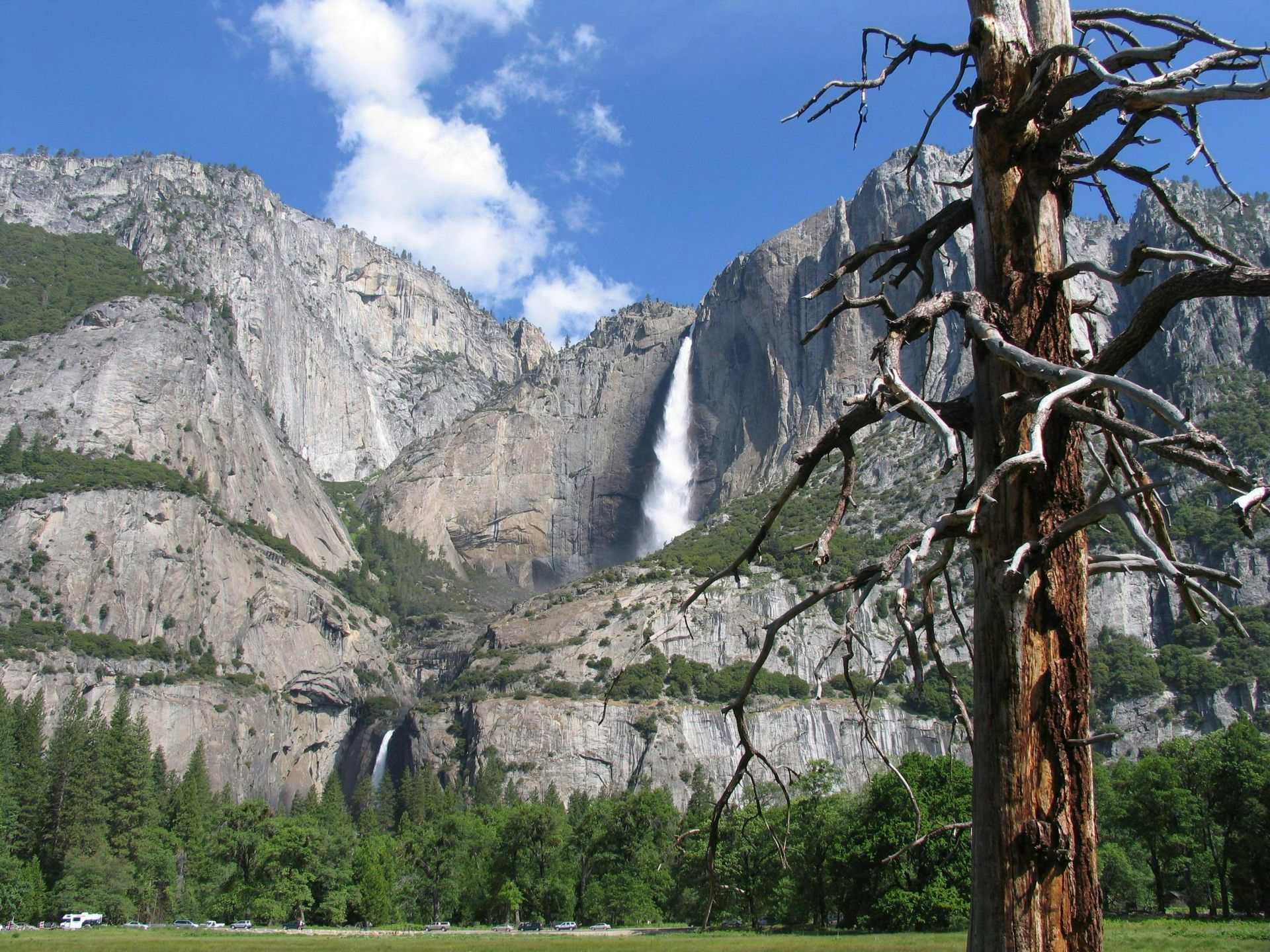 Yosemite valley with a tall waterfall, granite cliffs, pine trees, and a blue sky