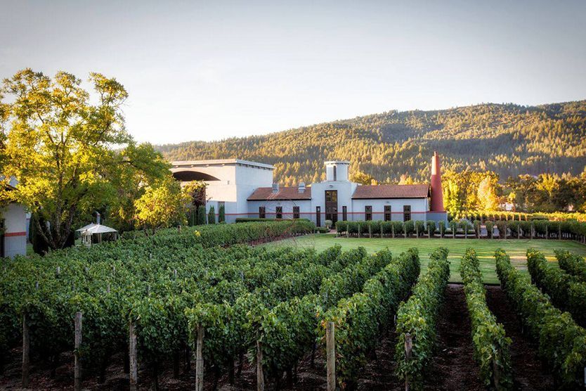 A vineyard with a white building in the background