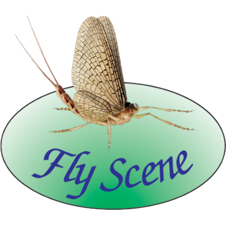 Fly Scene logo with a mayfly insect on a green oval, blue text.