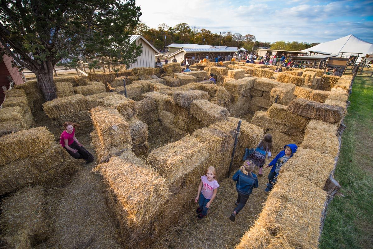 Straw Maze