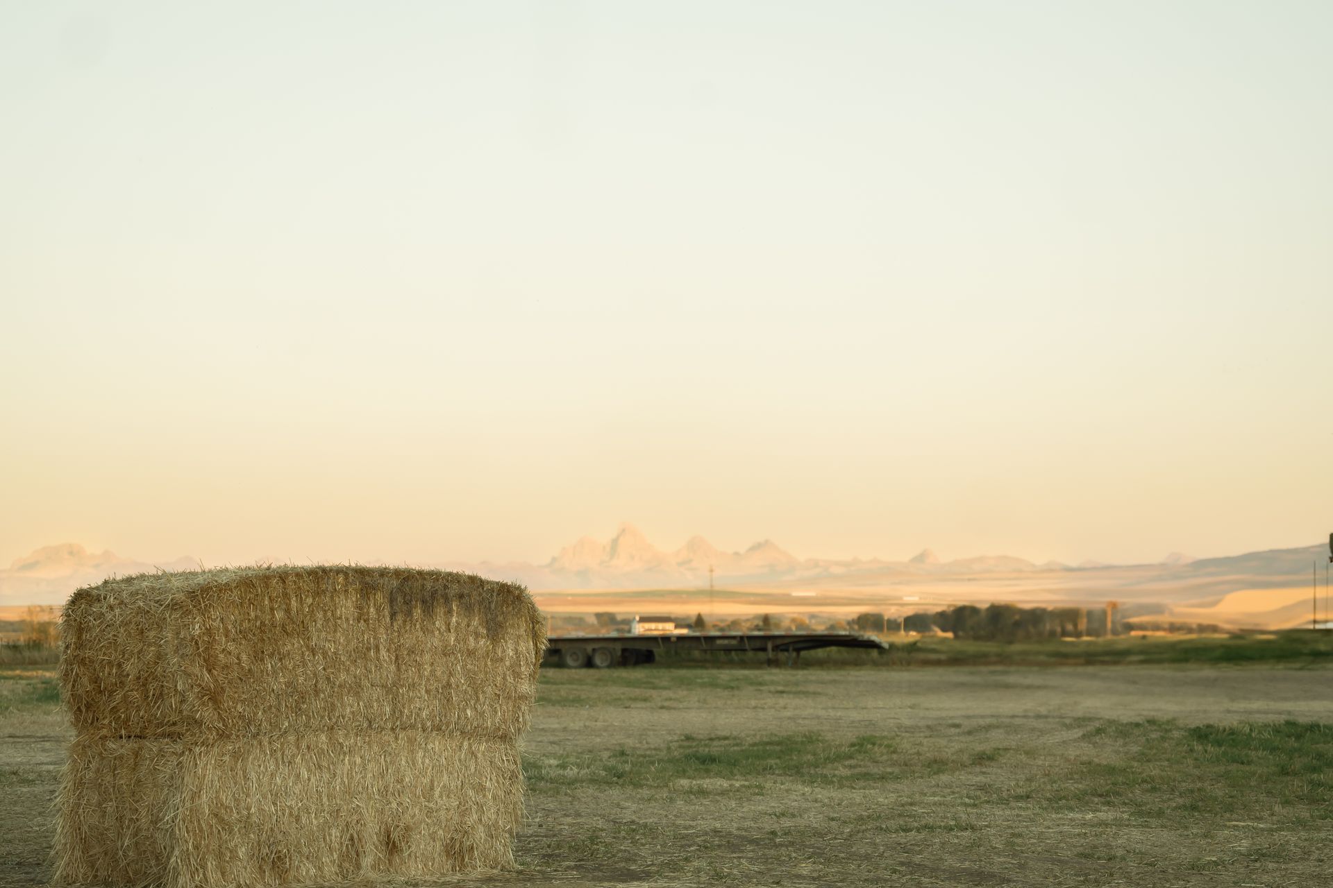 Fall Fun at The Escape Straw Maze