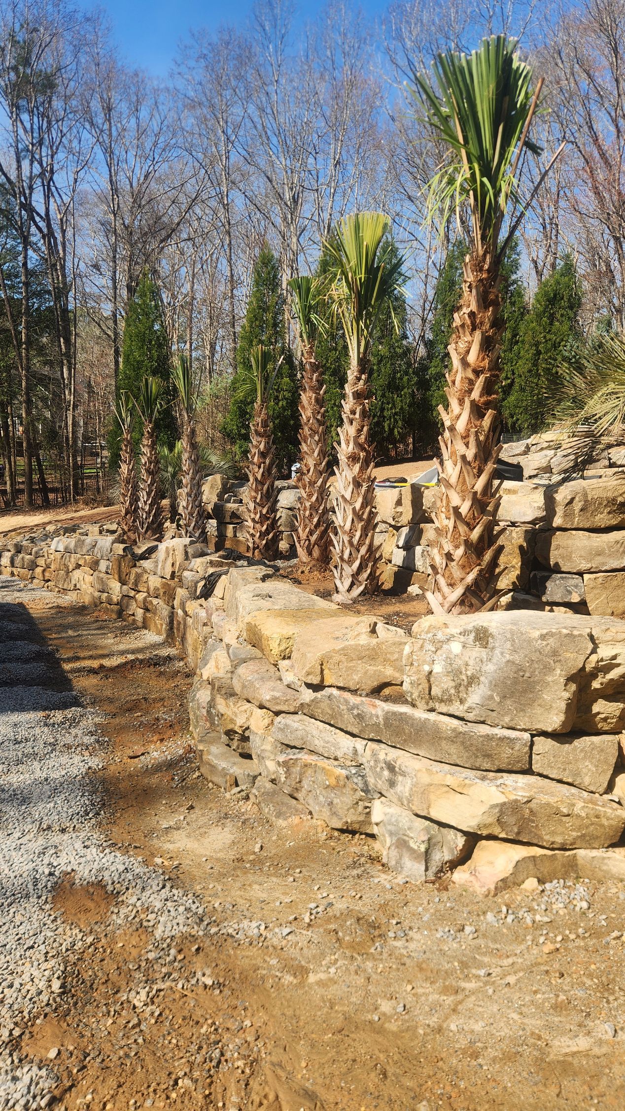 Stone terraced garden with young palm trees on a dry hillside under a blue sky